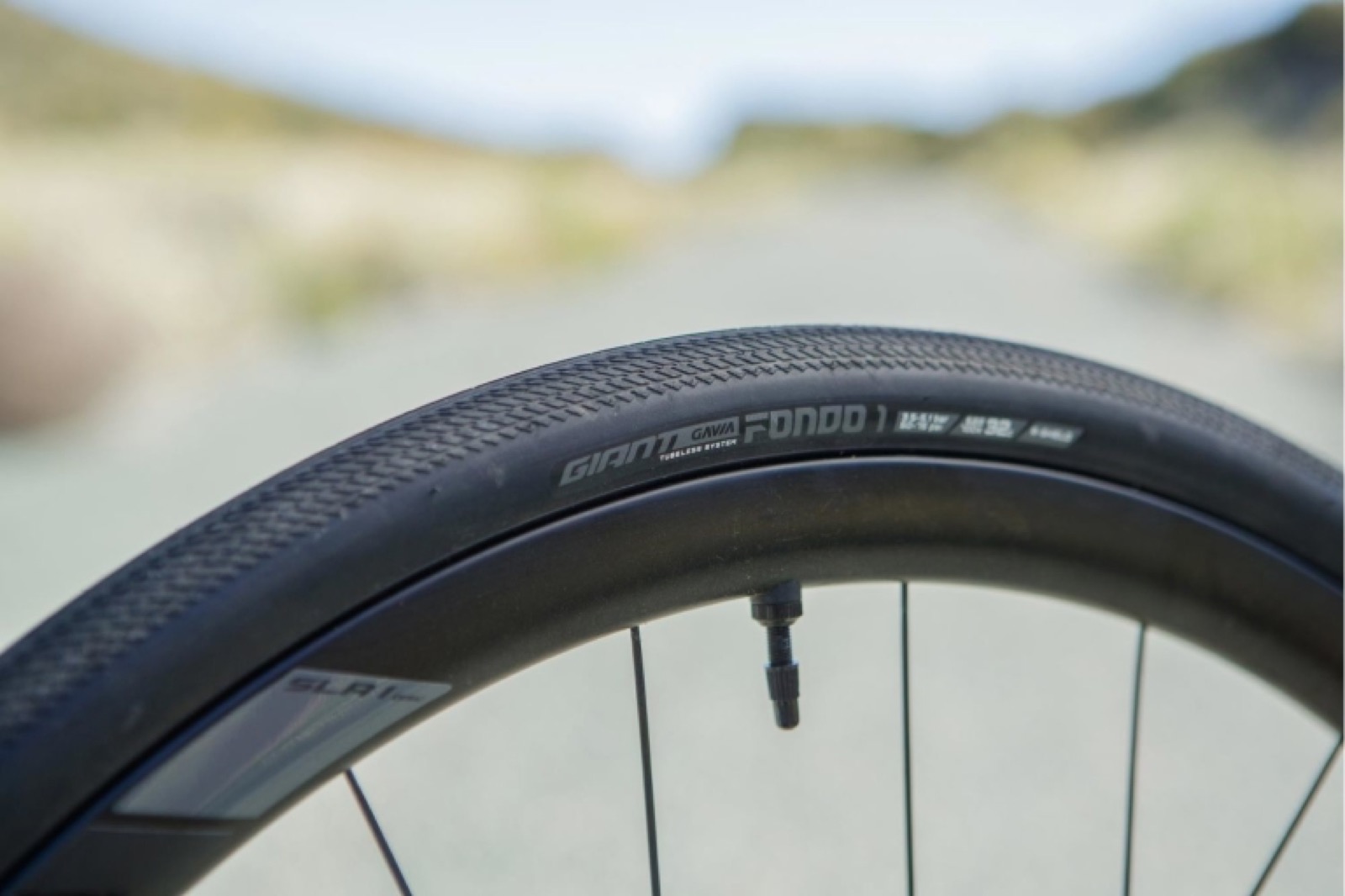 Giant Gavia Tubeless Tires project